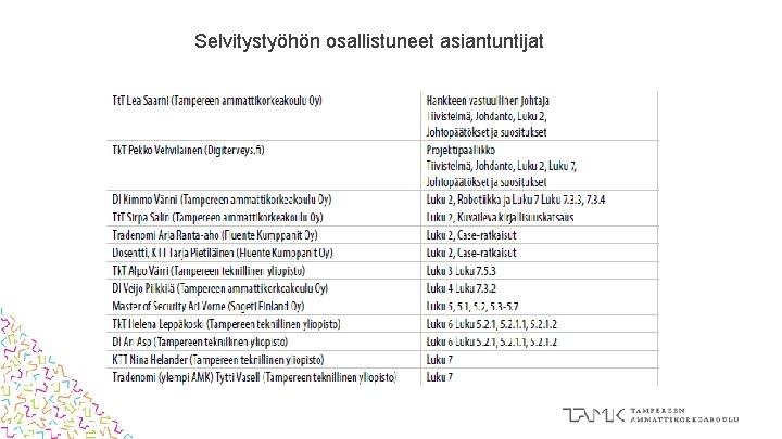 Selvitystyöhön osallistuneet asiantuntijat 