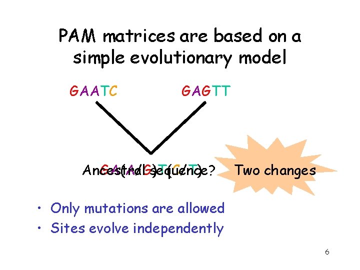 PAM matrices are based on a simple evolutionary model GAATC GAGTT Ancestral GA(A/G)T(C/T) sequence?