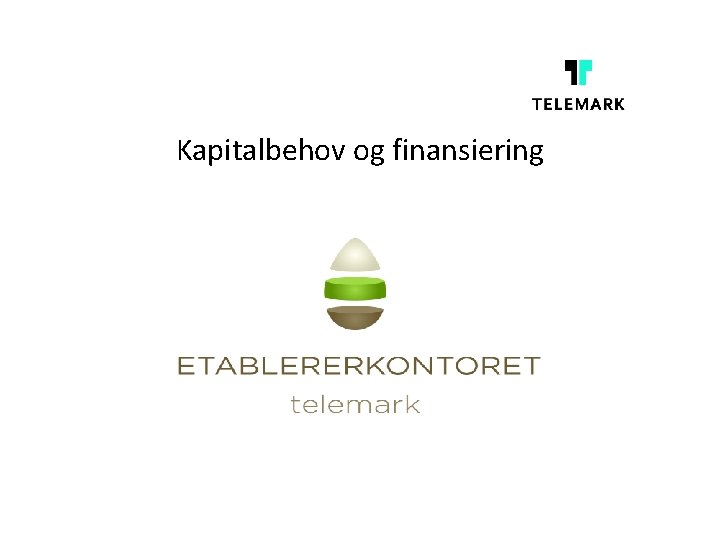 Kapitalbehov og finansiering 