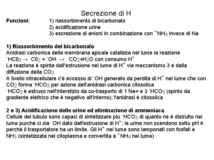 Secrezione di H Funzioni: 1) riassorbimento di bicarbonato 2) acidificazione urine 3) escrezione di