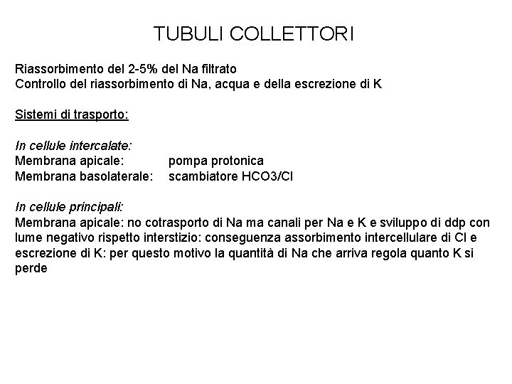 TUBULI COLLETTORI Riassorbimento del 2 -5% del Na filtrato Controllo del riassorbimento di Na,