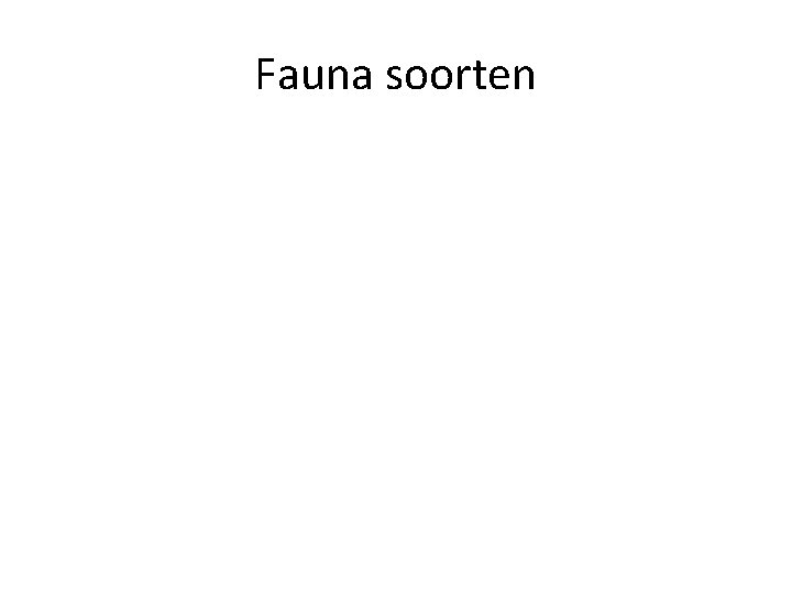 Fauna soorten 