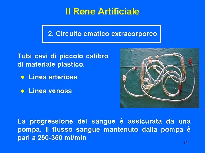 Il Rene Artificiale 2. Circuito ematico extracorporeo Tubi cavi di piccolo calibro di materiale