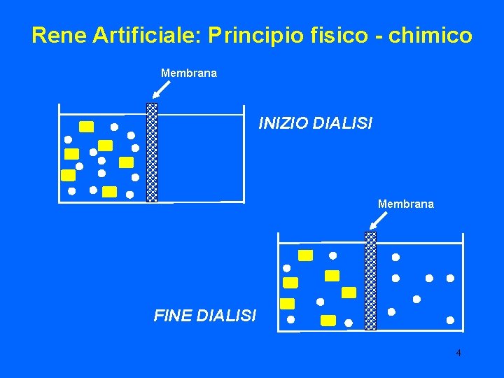 Rene Artificiale: Principio fisico - chimico Membrana INIZIO DIALISI Membrana FINE DIALISI 4 