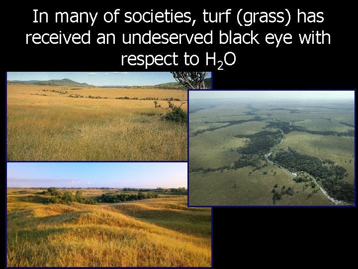 In many of societies, turf (grass) has received an undeserved black eye with respect