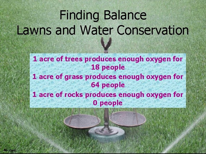 Finding Balance Lawns and Water Conservation 1 acre of trees produces enough oxygen for