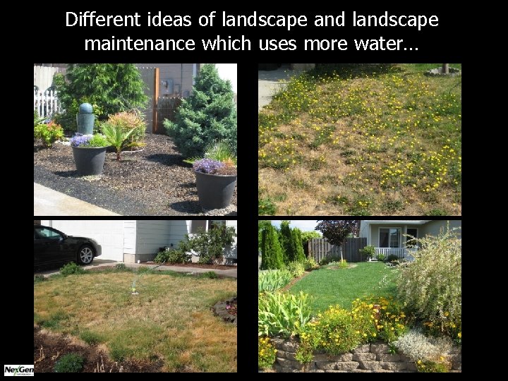 Different ideas of landscape and landscape maintenance which uses more water… 