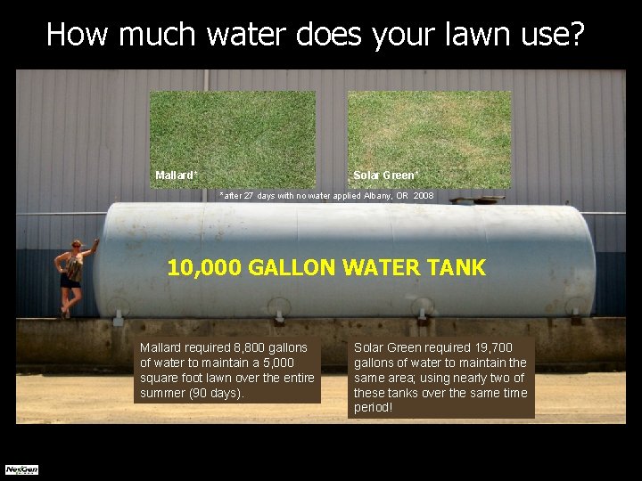 How much water does your lawn use? Mallard* Solar Green* *after 27 days with