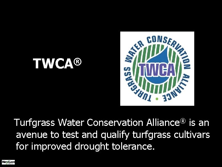 TWCA® Turfgrass Water Conservation Alliance® is an avenue to test and qualify turfgrass cultivars