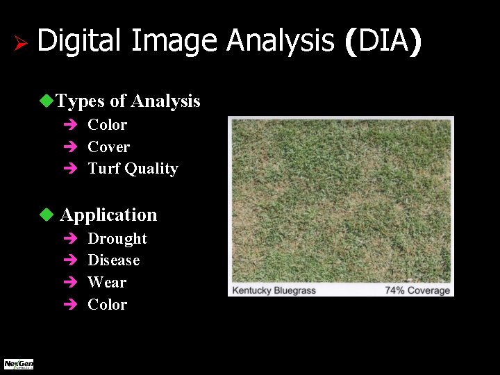 Ø Digital Image Analysis (DIA) u. Types of Analysis è Color è Cover è