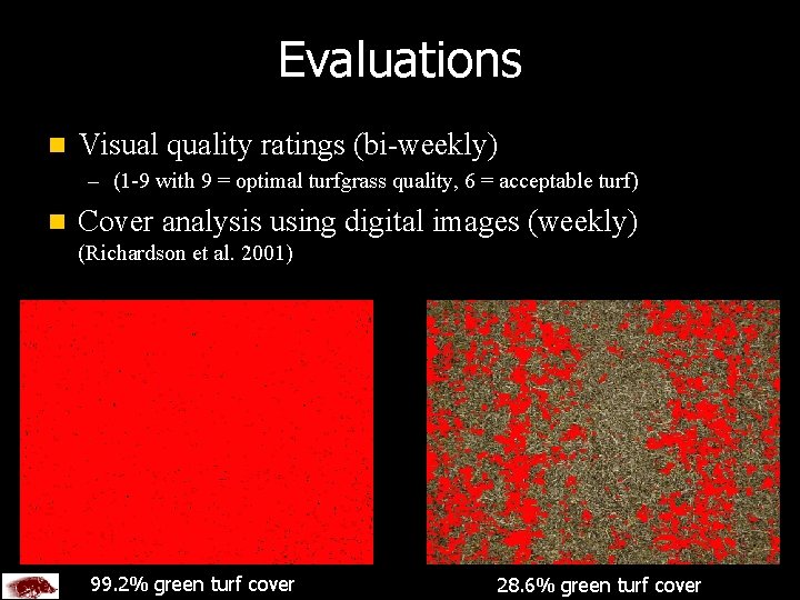 Evaluations n Visual quality ratings (bi-weekly) – (1 -9 with 9 = optimal turfgrass