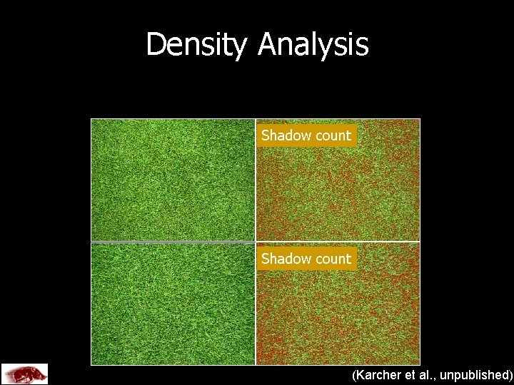 Density Analysis Shadow count Created by U of A (Karcher et al. , unpublished)