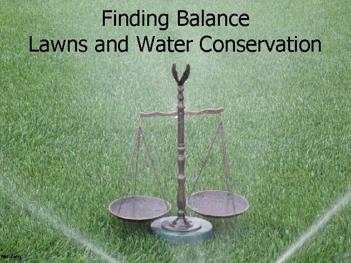 Finding Balance Lawns and Water Conservation 