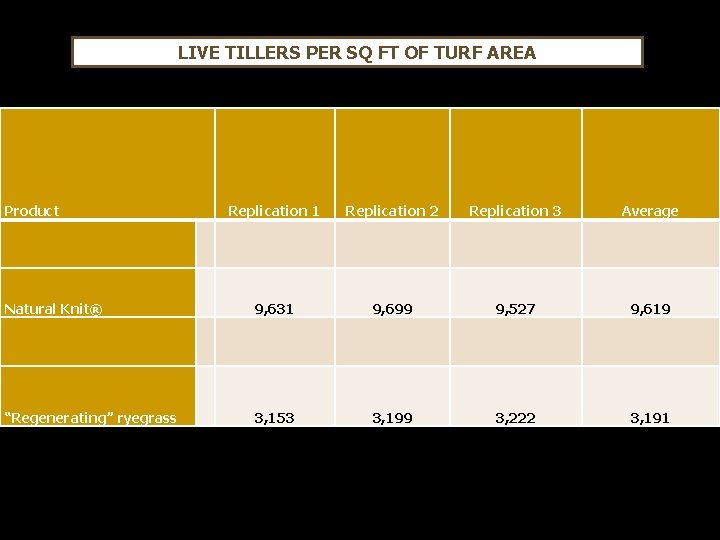 LIVE TILLERS PER SQ FT OF TURF AREA Product Replication 1 Replication 2 Replication