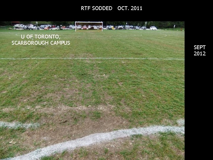 RTF SODDED OCT. 2011 U OF TORONTO, SCARBOROUGH CAMPUS SEPT 2012 