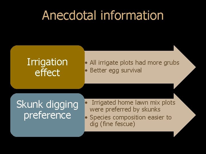 Anecdotal information Irrigation effect • All irrigate plots had more grubs • Better egg