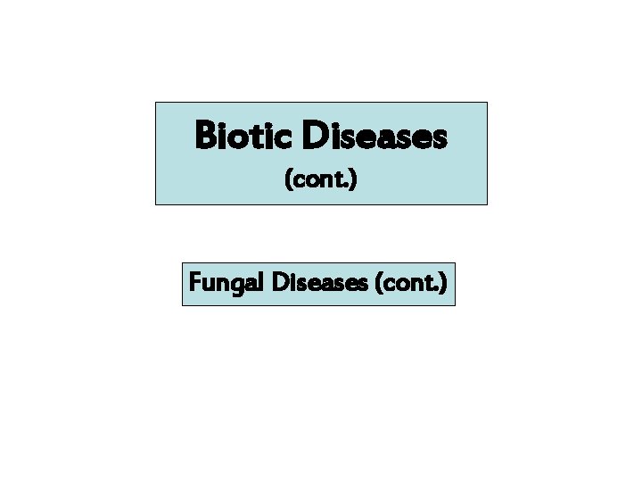 Biotic Diseases (cont. ) Fungal Diseases (cont. ) 