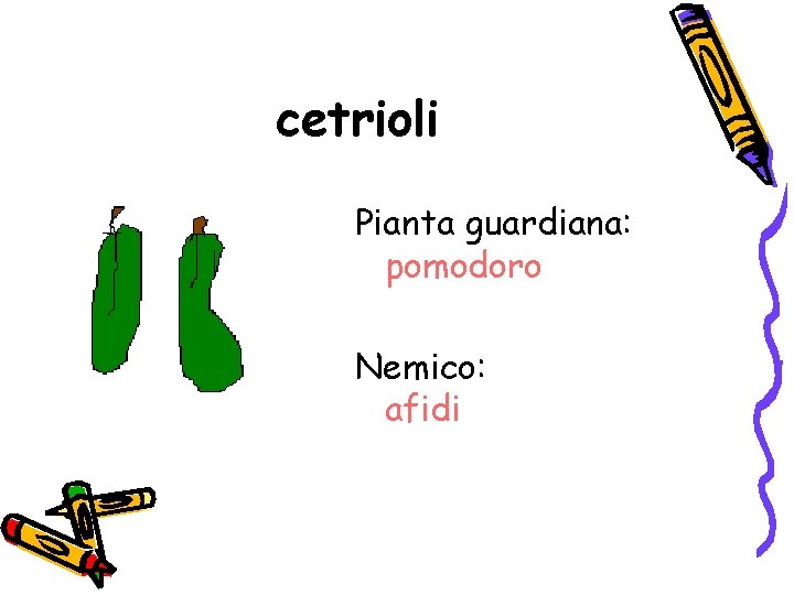 cetrioli Pianta guardiana: pomodoro Nemico: afidi 