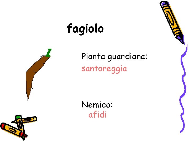 fagiolo Pianta guardiana: santoreggia Nemico: afidi 