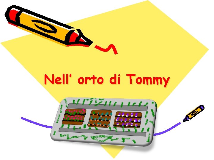 Nell’ orto di Tommy 