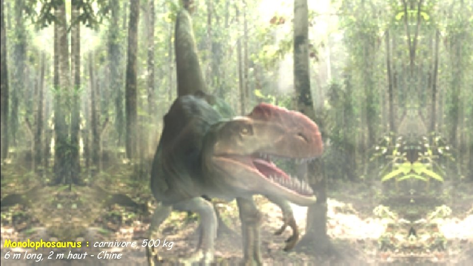 Monolophosaurus : carnivore, 500 kg 6 m long, 2 m haut - Chine 