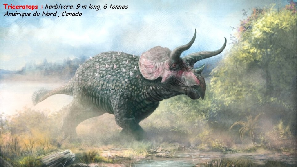 Triceratops : herbivore, 9 m long, 6 tonnes Amérique du Nord , Canada 