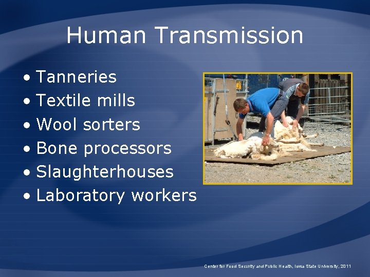 Human Transmission • Tanneries • Textile mills • Wool sorters • Bone processors •