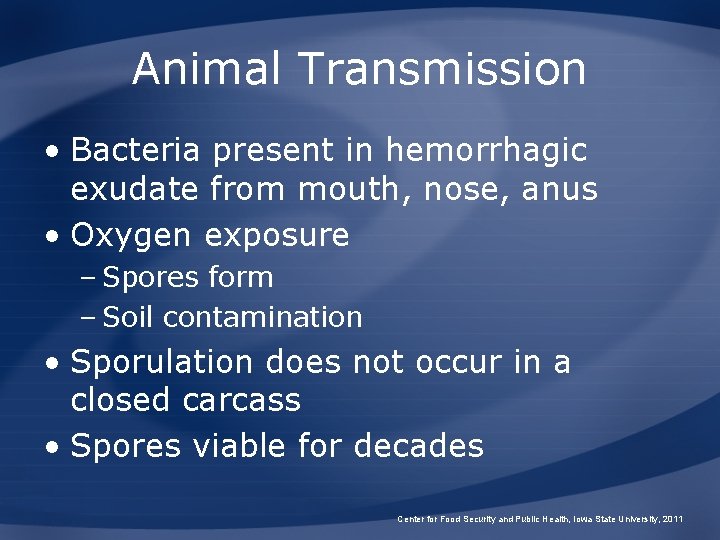 Animal Transmission • Bacteria present in hemorrhagic exudate from mouth, nose, anus • Oxygen