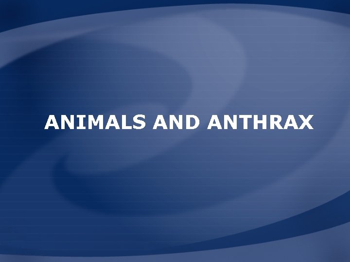 ANIMALS AND ANTHRAX 