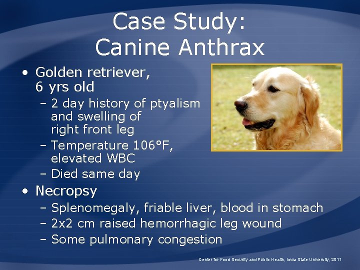 Case Study: Canine Anthrax • Golden retriever, 6 yrs old – 2 day history