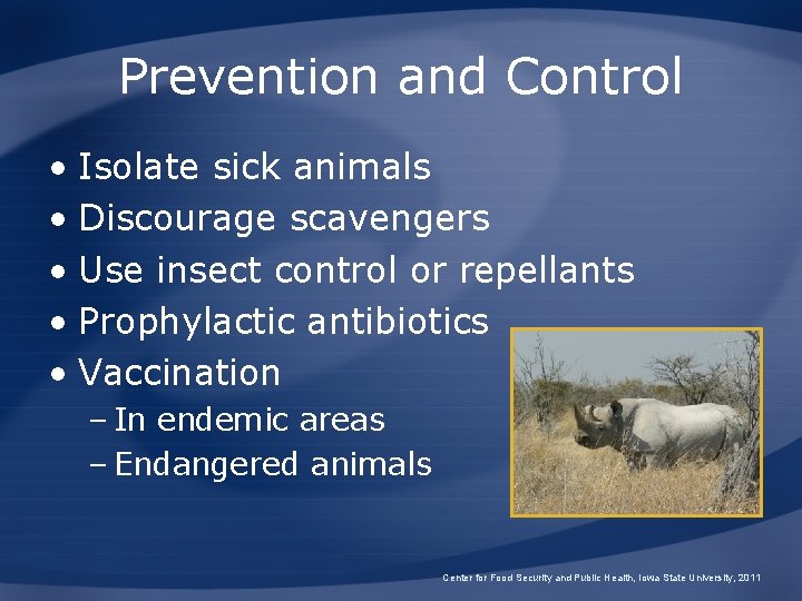 Prevention and Control • Isolate sick animals • Discourage scavengers • Use insect control