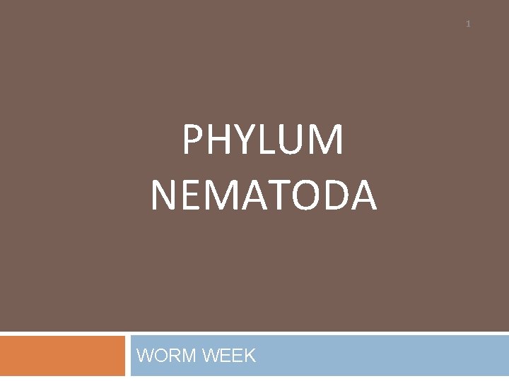1 PHYLUM NEMATODA WORM WEEK 