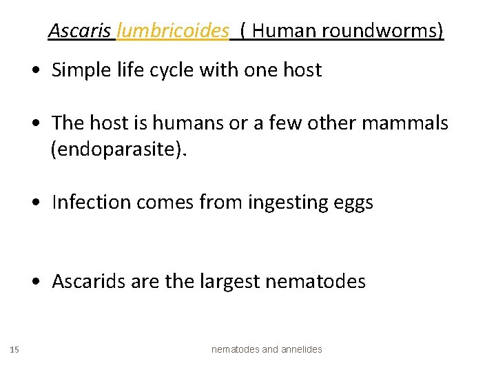 Ascaris lumbricoides ( Human roundworms) • Simple life cycle with one host • The