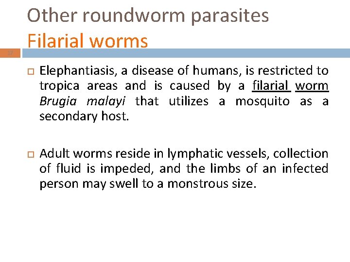 17 Other roundworm parasites Filarial worms Elephantiasis, a disease of humans, is restricted to
