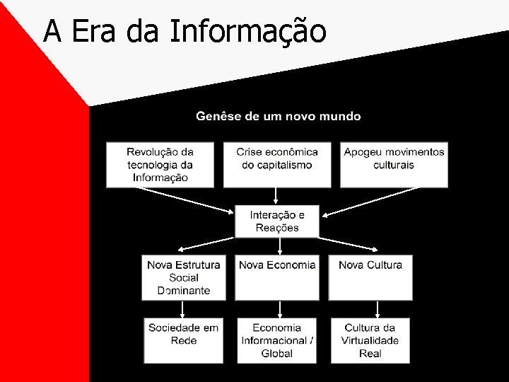 A Era da Informação 
