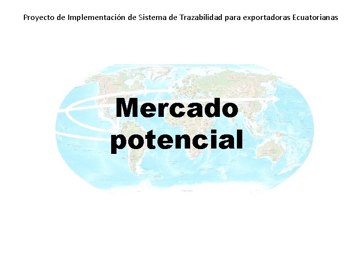 Proyecto de Implementación de Sistema de Trazabilidad para exportadoras Ecuatorianas Mercado potencial 