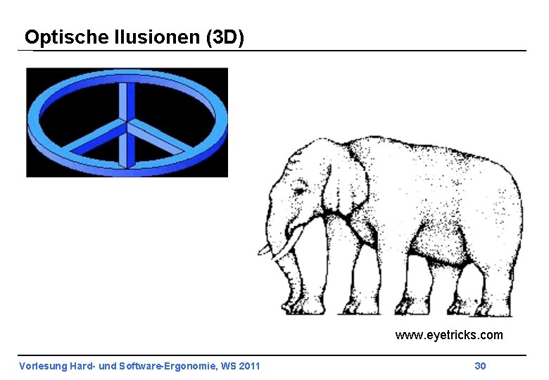 Optische Ilusionen (3 D) www. eyetricks. com Vorlesung Hard- und Software-Ergonomie, WS 2011 30