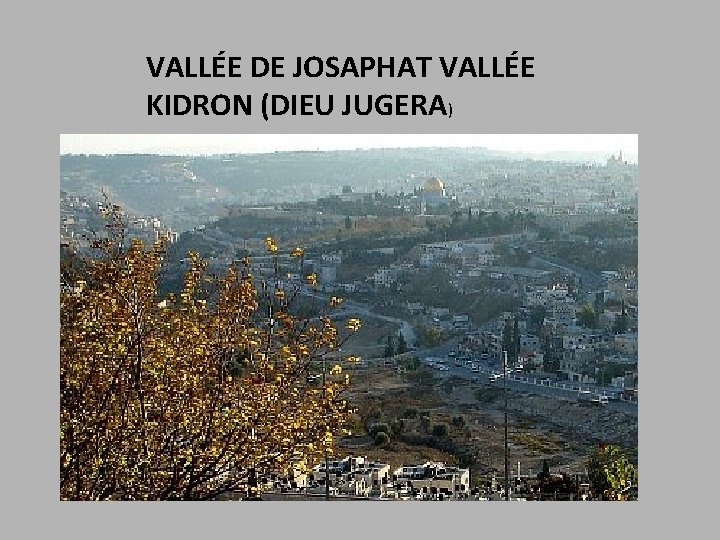 VALLÉE DE JOSAPHAT VALLÉE KIDRON (DIEU JUGERA) 