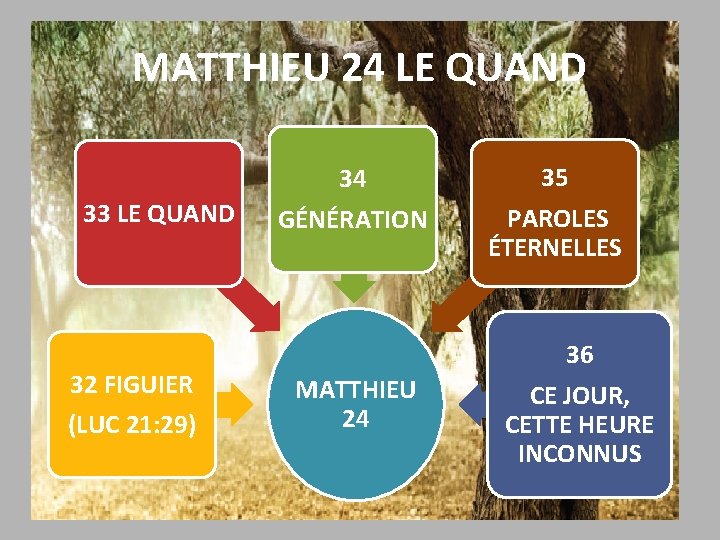 MATTHIEU 24 LE QUAND 34 33 LE QUAND 32 FIGUIER (LUC 21: 29) GÉNÉRATION