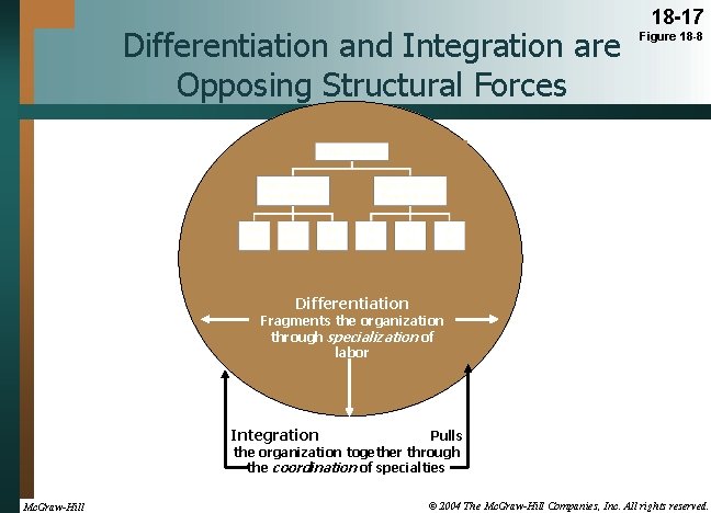 Differentiation and Integration are Opposing Structural Forces 18 -17 Figure 18 -8 Differentiation Fragments