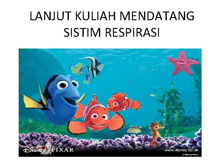 LANJUT KULIAH MENDATANG SISTIM RESPIRASI 