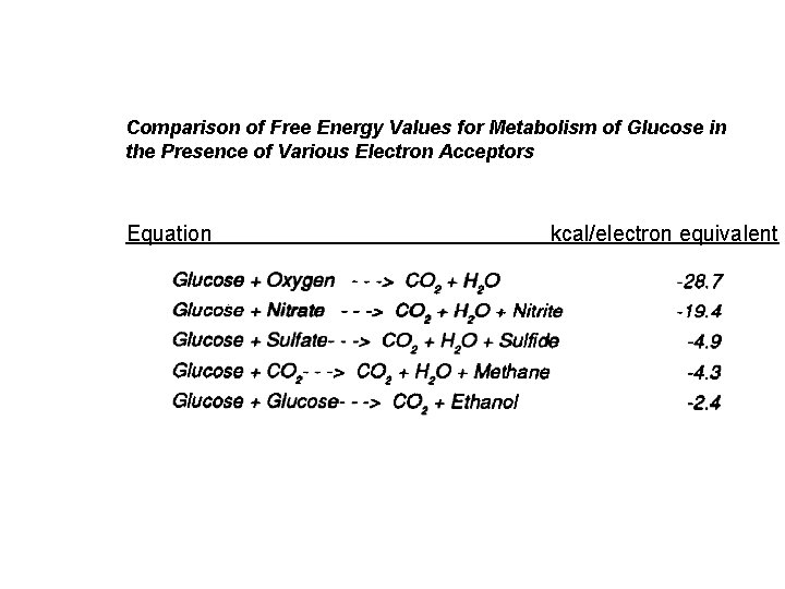 Comparison of Free Energy Values for Metabolism of Glucose in the Presence of Various