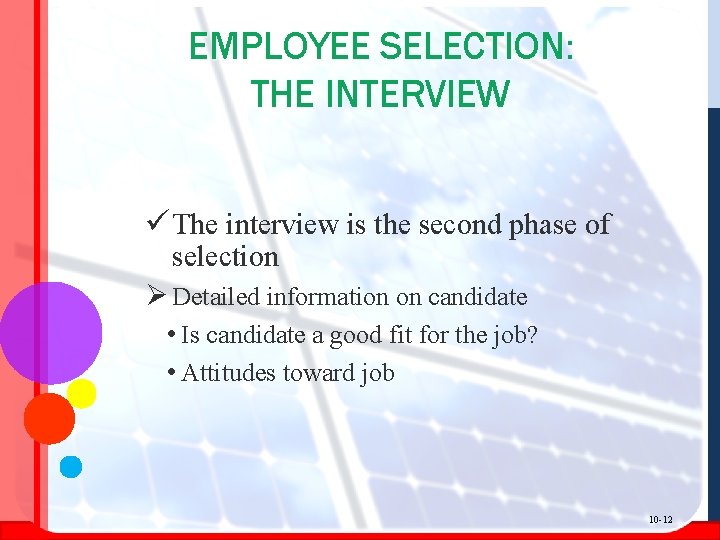 EMPLOYEE SELECTION: THE INTERVIEW ü The interview is the second phase of selection Ø