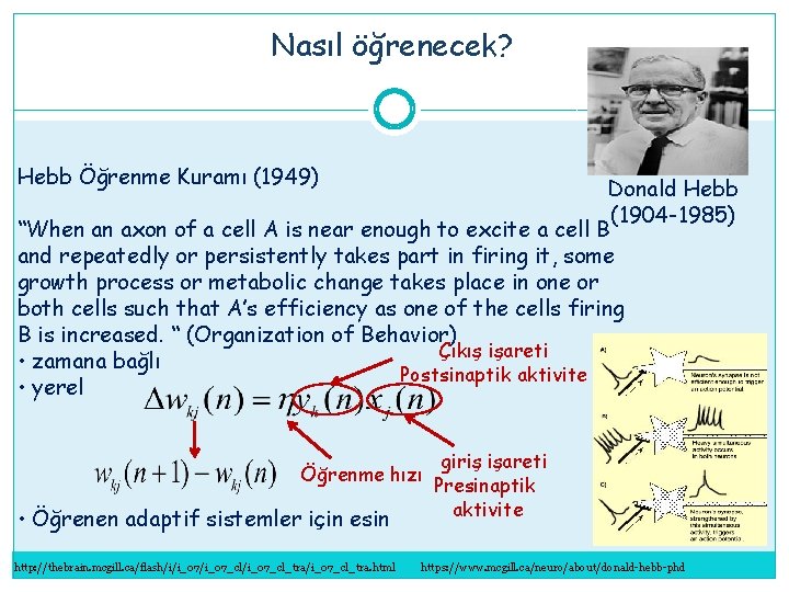 Nasıl öğrenecek? Hebb Öğrenme Kuramı (1949) Donald Hebb (1904 -1985) “When an axon of Nasıl öğrenecek? Hebb Öğrenme Kuramı (1949) Donald Hebb (1904 -1985) “When an axon of