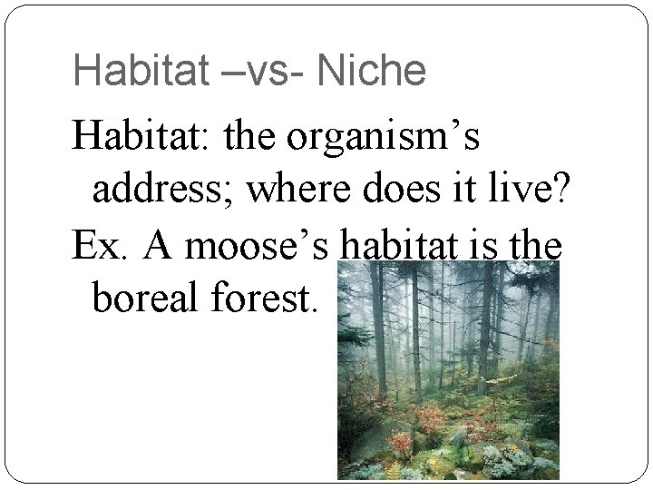 Habitat –vs- Niche Habitat: the organism’s address; where does it live? Ex. A moose’s