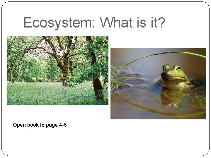 Ecosystem: What is it? Open book to page 4 -5 