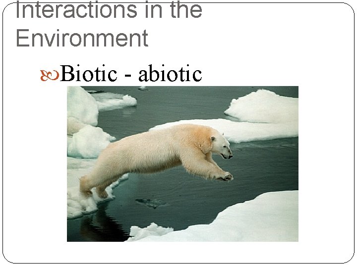Interactions in the Environment Biotic - abiotic 