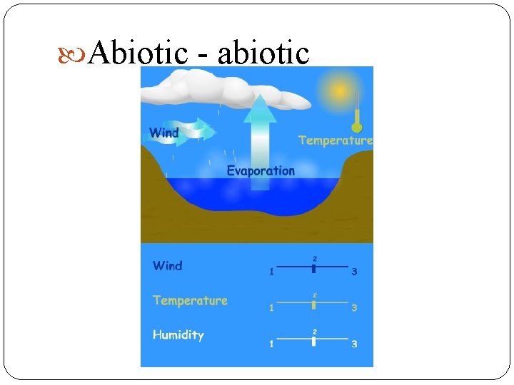  Abiotic - abiotic 