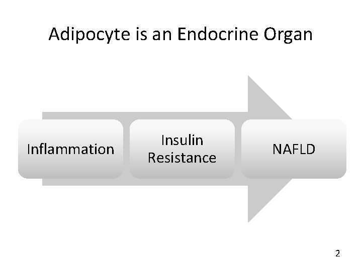 Adipocyte is an Endocrine Organ Inflammation Insulin Resistance NAFLD 2 