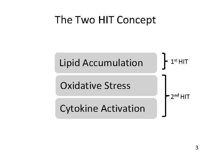The Two HIT Concept Lipid Accumulation 1 st HIT Oxidative Stress 2 nd HIT